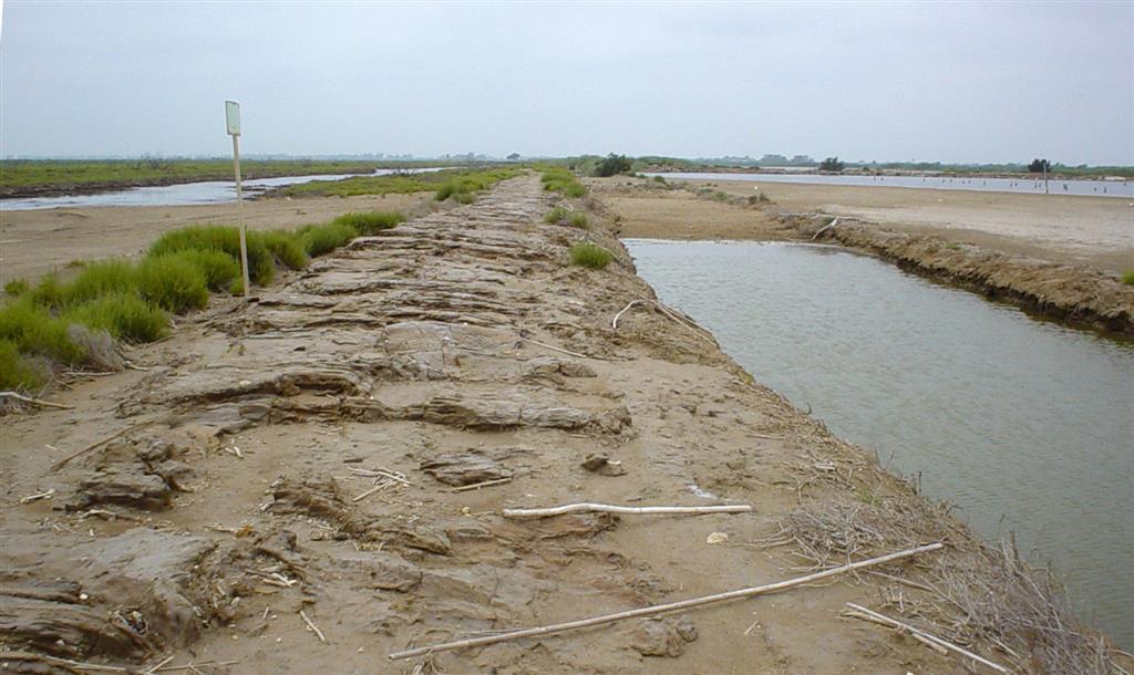 Restos de antiguas instalaciones pesqueras y salineras en la llanura deltaica (Isla de San Antonio, zona de Reserva Integral).