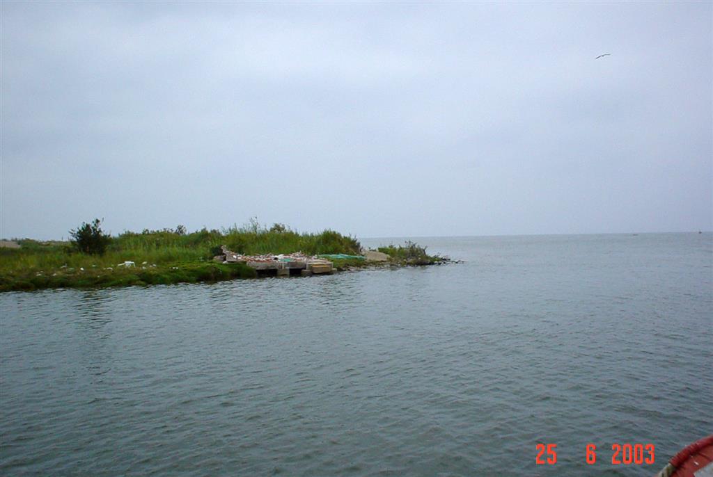 Restos de instalaciones pesqueras destruidas por temporal en invierno 2002-2003. Obsérvese el pequeño escarpe vertical de línea de costa, afectando a depósitos limoarenosos de llanura deltáica, que muestran el estado erosivo de esta porción del delta.