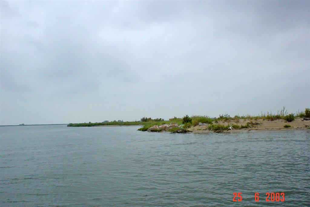 Imagen de orilla oriental del río Ebro, correspondiente a margen occidental de Isla San Antonio. Se aprecia marcado escarpe vertical labrado sobre depósitos limoarenosos deltaicos, que muestra el retroceso costero que sufre esta zona del delta.