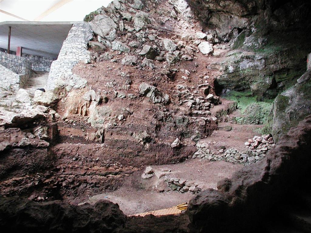 Sección estratigráfica del relleno del Pleistoceno superior de la Cueva de El Castillo (foto Federico Bernaldo de Quirós)