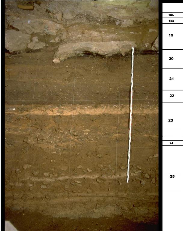 Sección estratigráfica que muestra los niveles inferiores de la Cueva de El Castillo (foto Federico Bernaldo de Quirós)