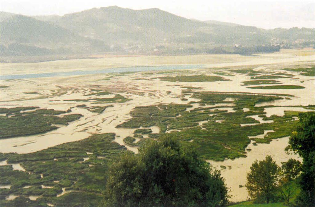 Marismas de Kanala, hacia 1991, en el margen derecho de la ría de Gernika y durante la bajamar. Se distingue la zona colonizada y los canales mareales. Al fondo se distinguen los fangales de Murueta. (Foto: Diputación Foral de Vizcaya - LURGINTZA)