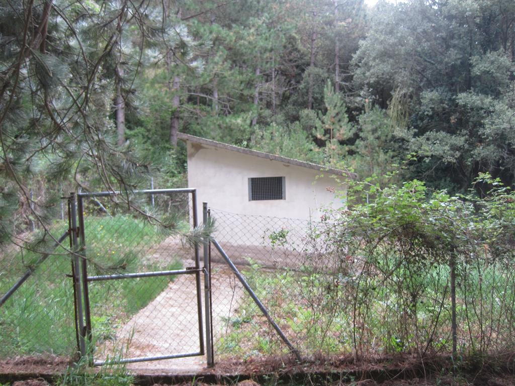 La fuente de la Rosa abastece de agua a Ábalos