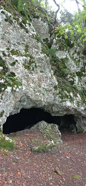 Acceso al endokarst de San León