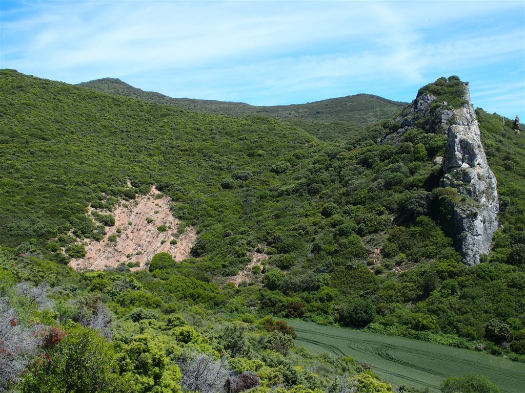 Contraste entre los resaltes de calcarenitas eocenas y la formación oligocena formada por  limolitas, arcillas y margas.