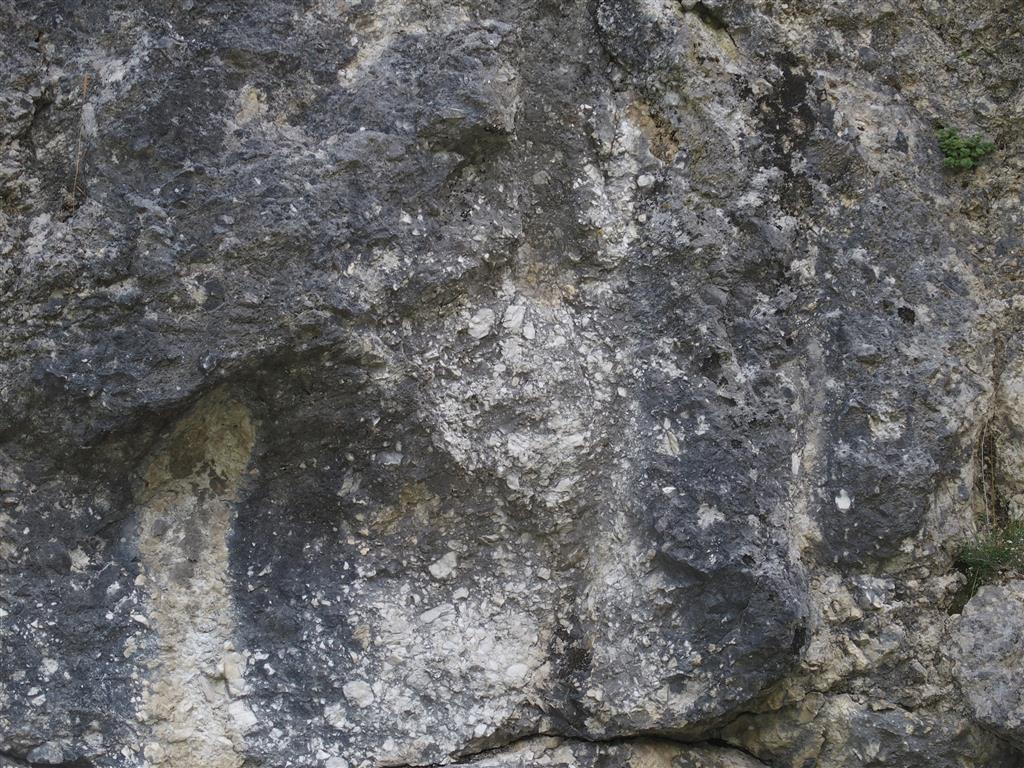 Detalle de brechas calcáreas del Jurásico Inferior en Saldías.