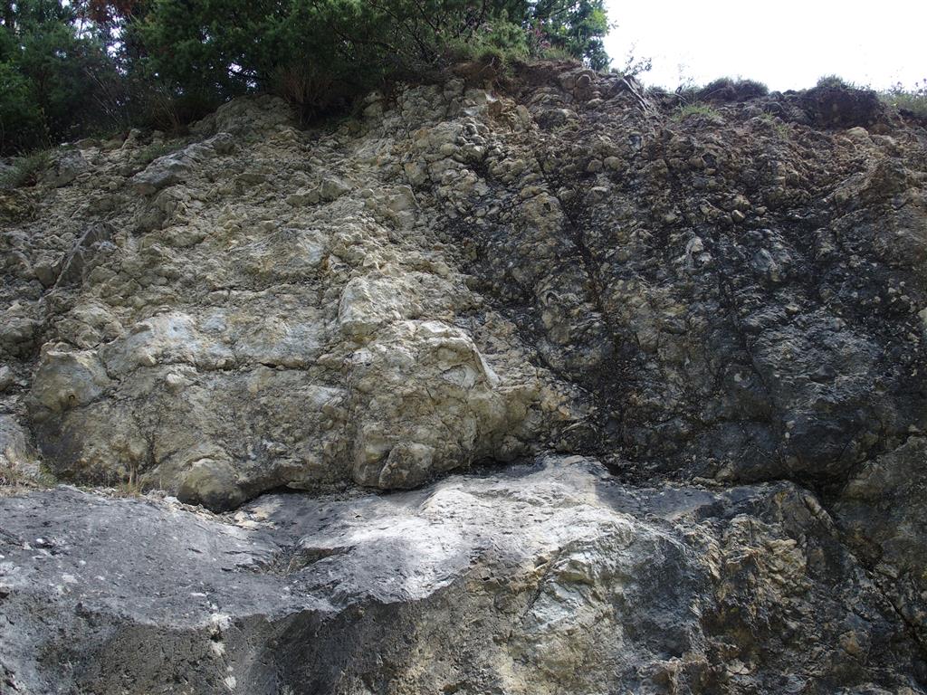 Detalle de brechas calcáreas del Jurásico Inferior en Saldías.