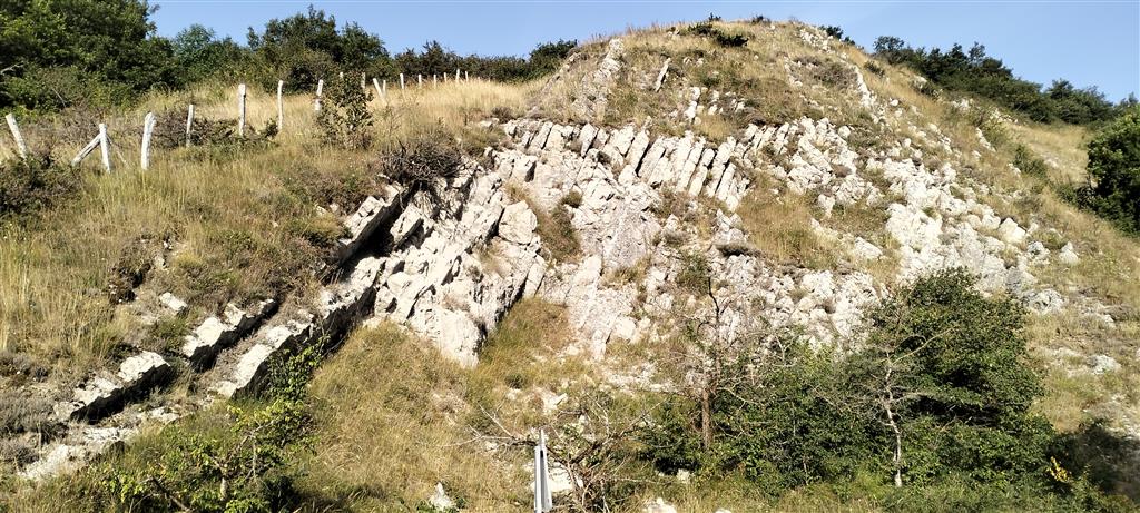 Afloramiento de calizas paleocenas, tableadas y con morfología tabular. A la izquierda, zona herbosa con afloramiento de otra unidad paleocena más margosa.