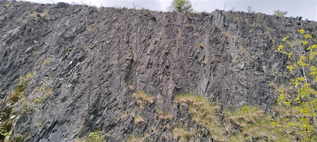 Vista general del talud donde aflora el flysch negro de Pagozelai, con estratos totalmente verticalizados.