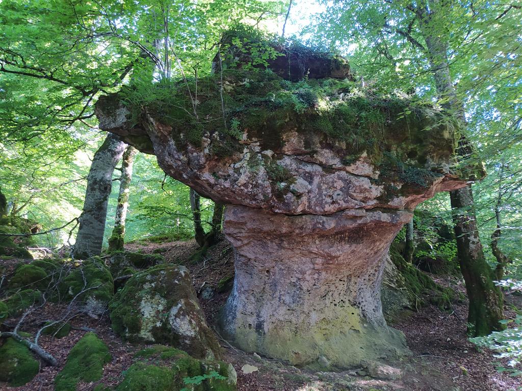 Bosque de piedra. Forma fungiforme.