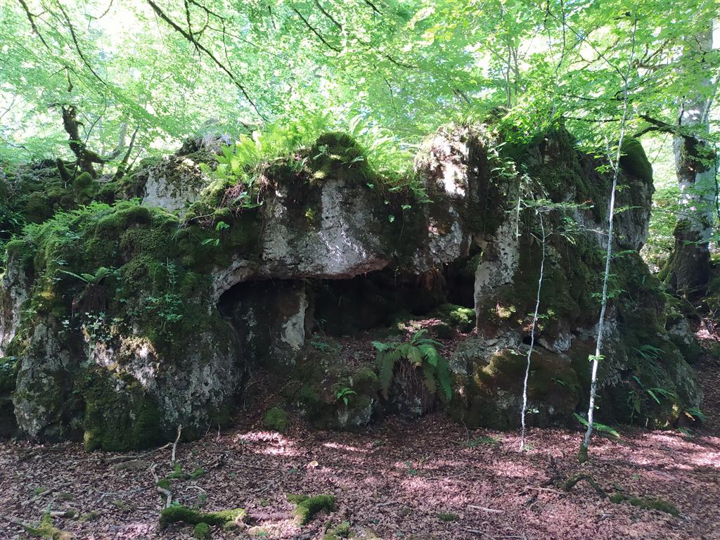 Bosque de piedra. Ventana natural.