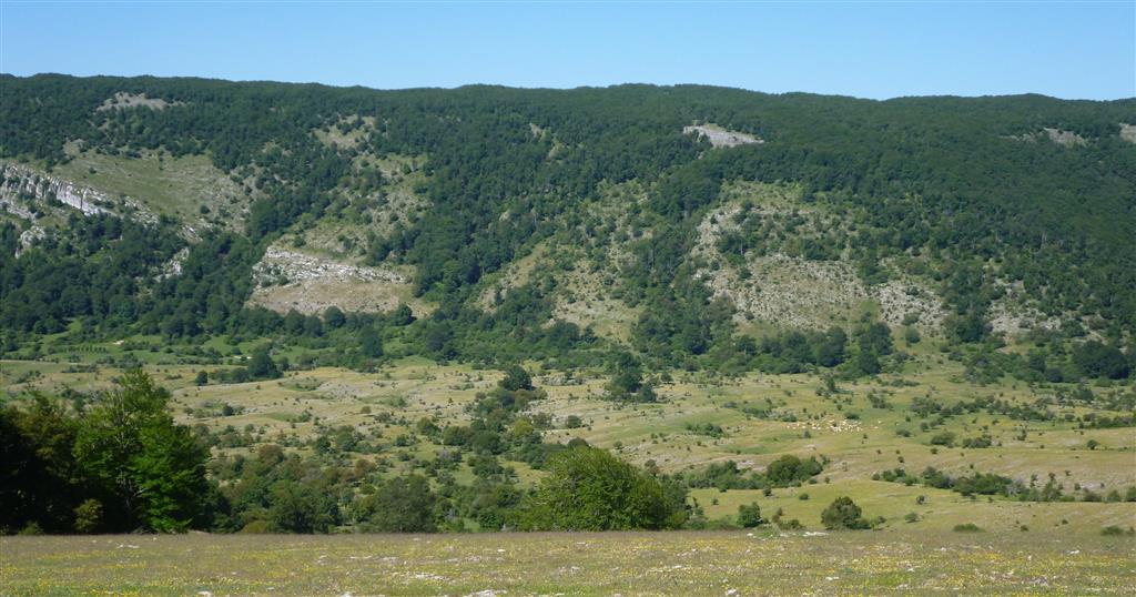 Vista transversal del polje de Zalbide, cuyo fondo plano está totalmente tapizado de dolinas y algunas simas.