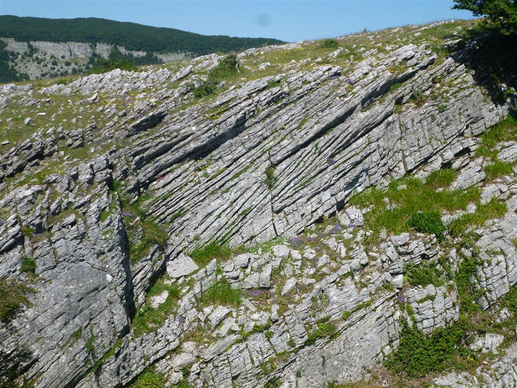Estratificación cruzada en calcarenitas eocenas, en la sección lateral de una uvala.