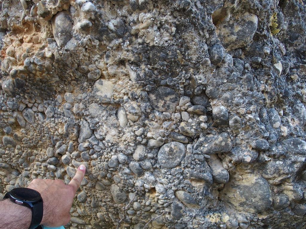 Fábrica de los conglomerados de Montejurra, formados por cantos de caliza y arenisca y matriz arenosa.