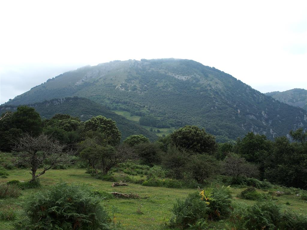 Vista del entorno de Betelu (monte Elosta) y el entorno natural de los Encinares de Betelu.