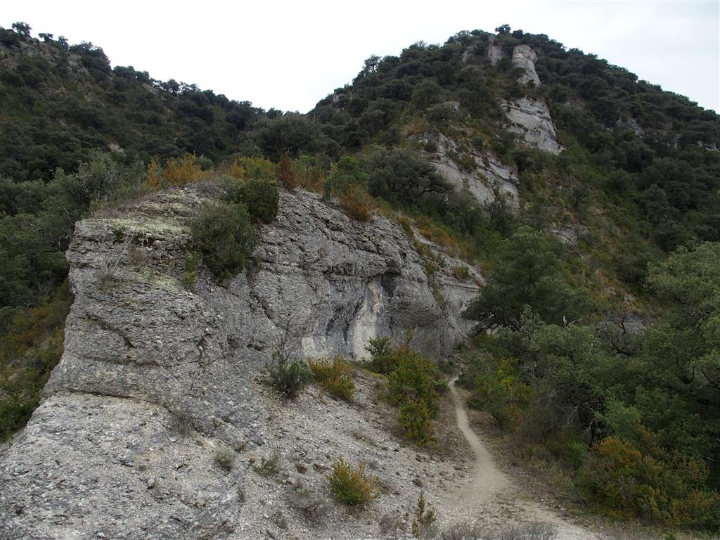 Sustrato rocoso de calcarenitas en el que se ha formado la cueva de Basaula.