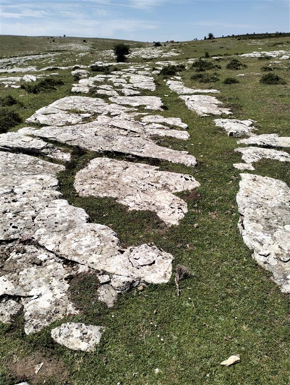 Lapiaz estructural sobre las calcarenitas que afloran en la zona elevada de este entorno kárstico.