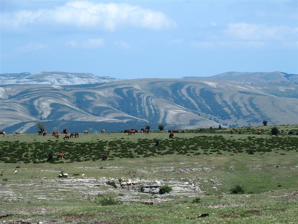 Panorámica donde se observan en segundo plano las morfologías en "uve" que corresponden al flanco norte del sinclinal de Urbasa-Andía.