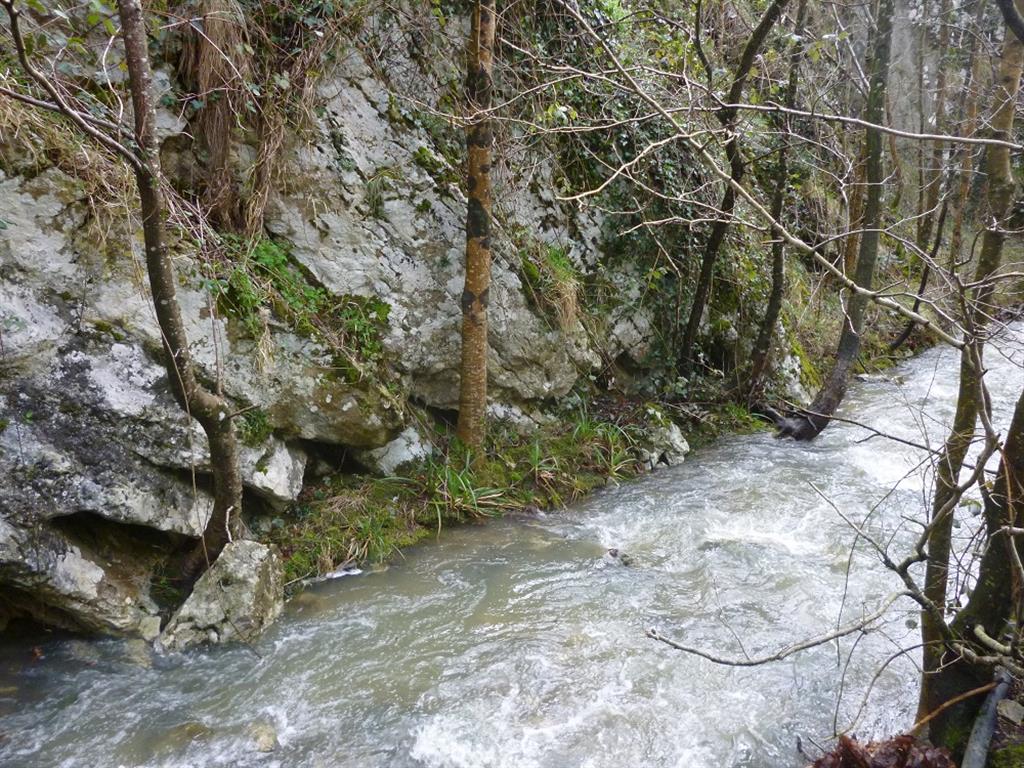 Afloramiento de calcarenitas cretácicas junto a la regata en el flanco norte del sinclinal de Aitziber. Las capas muestran un buzamiento moderado-alto hacia el sur (derecha en la imagen).