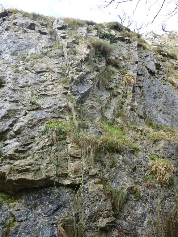 Fracturación de las calcarenitas cretácicas del flanco norte del sinclinal de Aitziber.