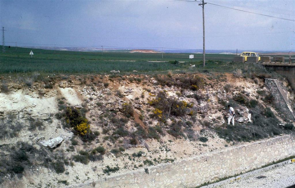 Afloramiento en la trinchera del ferrocarril cerca del cruce con la carretera Valdevarnés a Maderuelo (© I. Armenteros)