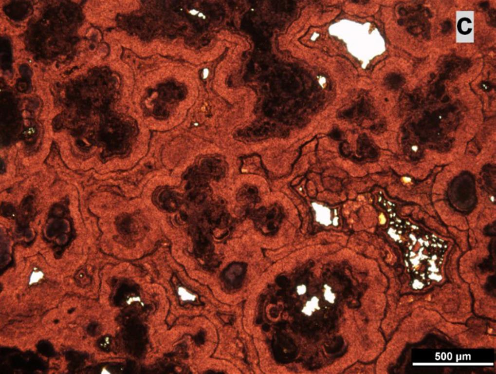 Aspecto al microscopio de la mineralización de Oxhidróxidos de Fe y Mn (© I. Armenteros)