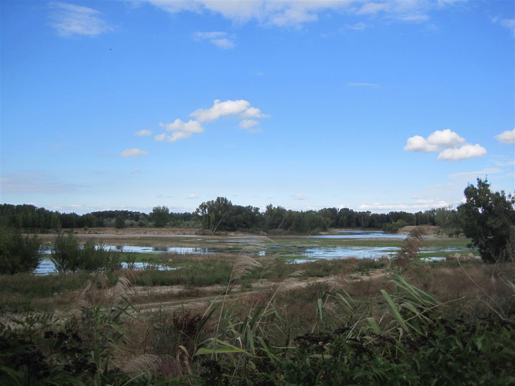 Canal principal del río Ebro cerca del meandro del Estajao 