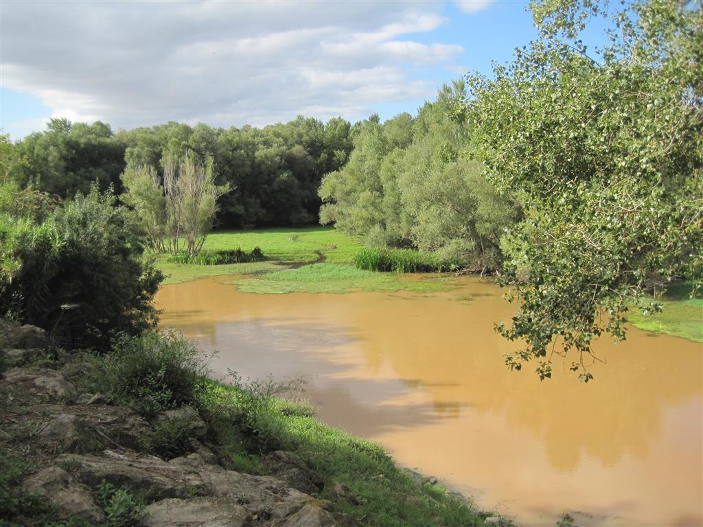 Canal de meandro abandonado o "madre" de la Nava