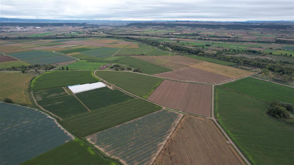 Vista aérea del río Aragón entre los municipios de Santacara y Murillo el Fruto. La forma y disposición de los campos de cultivo reflejan el trazado de antiguos meandros abandonados.