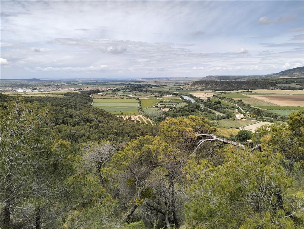 Llanura aluvial del río Aragón en Carcastillo, observándose claros niveles de terraza fluvial en ambas márgenes y principalmente en la margen derecha.