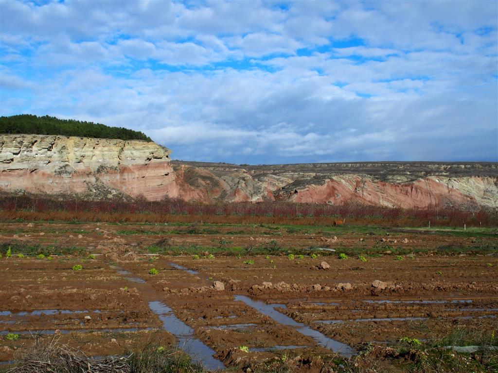 Llanura de inundación del río a los pies de interesantes resaltes versicolores en Sartaguda.