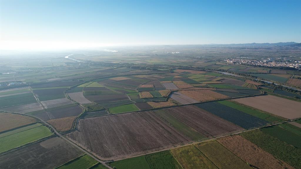 Llanura aluvial en Cabanillas donde, gracias a la distribución de los cultivos, se observa el trazado curvo de un meandro abandonado. Fuente: Dirección General de Obras Públicas e Infraestructuras del Gobierno de Navarra.