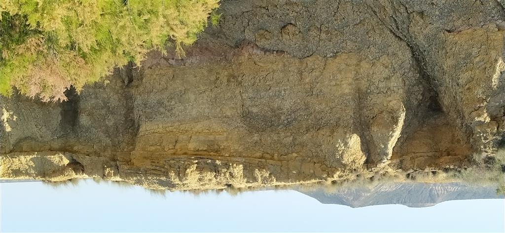 Sección del barranco de las Cortinas. Se observan estratos de areniscas con base erosiva cóncava.
