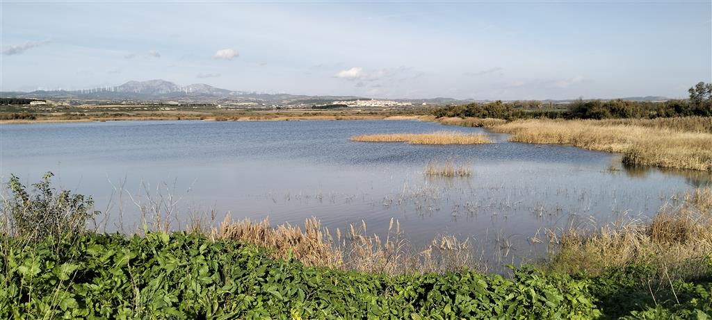 Aspecto del embalse de Las Cañas. Al fondo, relieves montañosos de la sierra de Cantabria o Toloño.