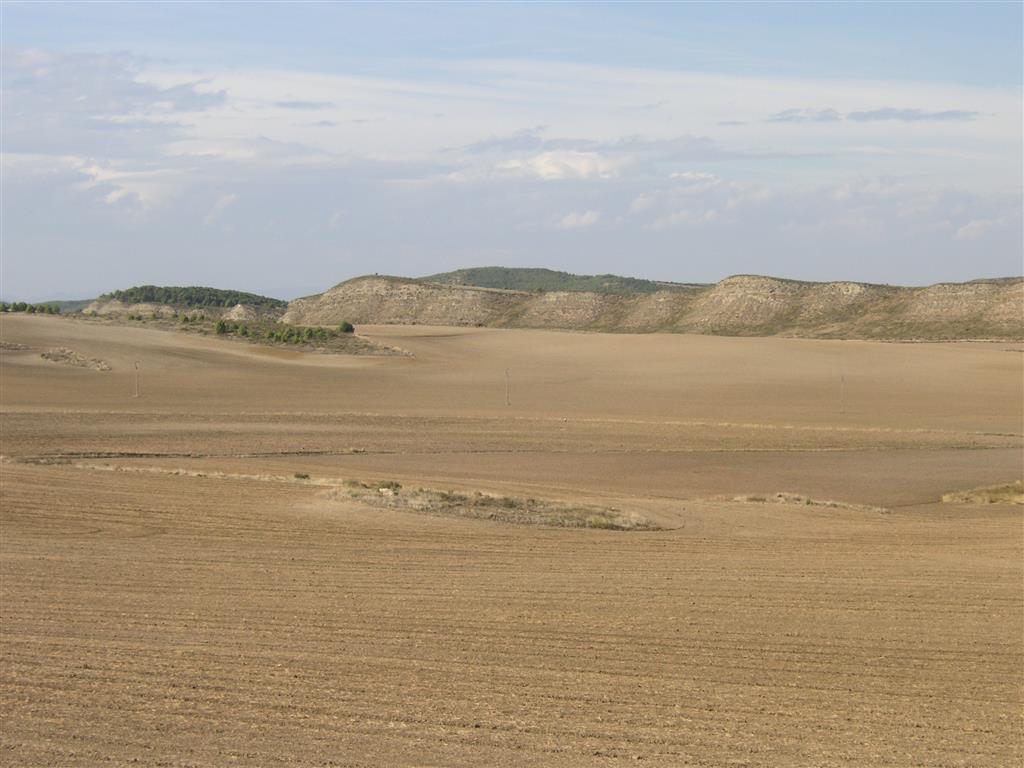 Vista local de un sector del frente de cabalgamiento de Tafalla, en el que afloran los yesos oligocenos.