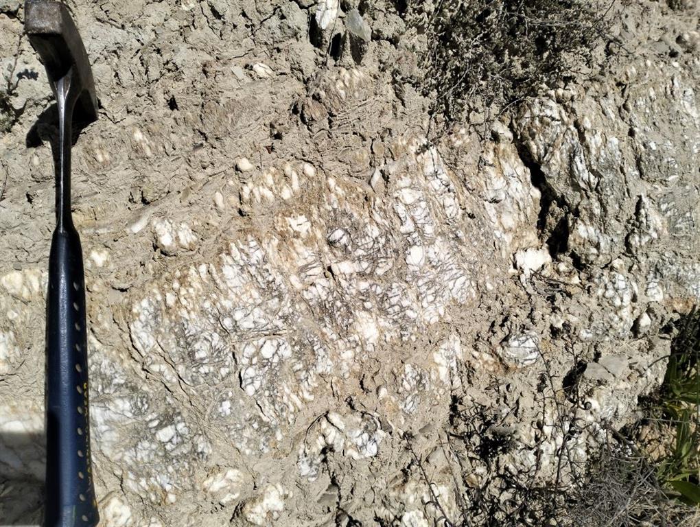 Detalle de los yesos de textura alabastrina pertencientes a la Formación Yesos de Falces.