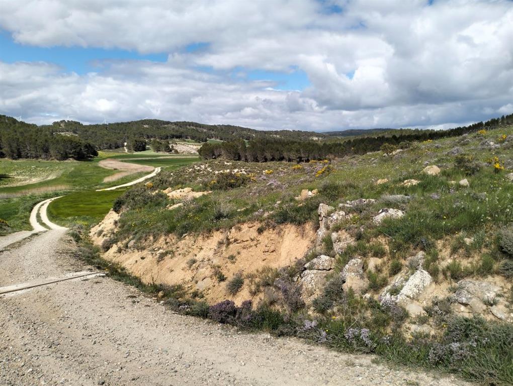 En esta imagen panorámica hacia el norte puede verse en primer plano un pequeño afloramiento de limolitas y lutitas miocenas. En el fondo se aprecian materiales geológicos de tonos blanquecinos correspondientes a los yesos oligocenos.