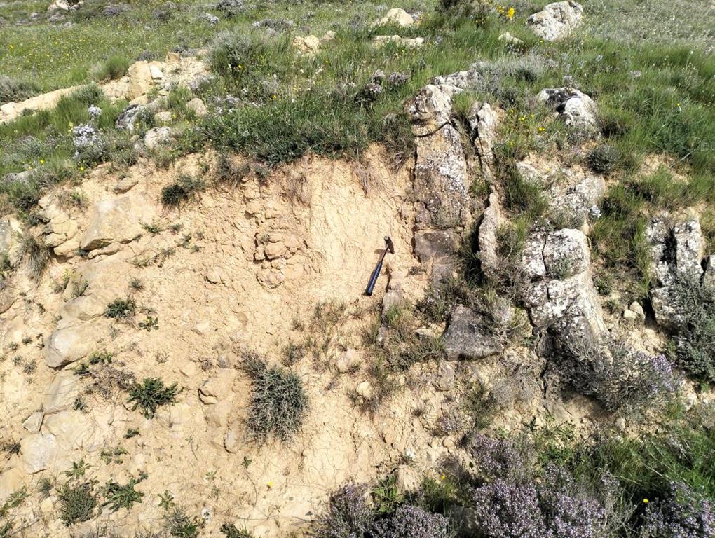 Detalle del afloramiento de limolitas y lutitas miocenas. Muestran un buzamiento muy verticalizado ya que se sitúan a escasos metros del contacto mecánico que las separa de los yesos oligocenos.
