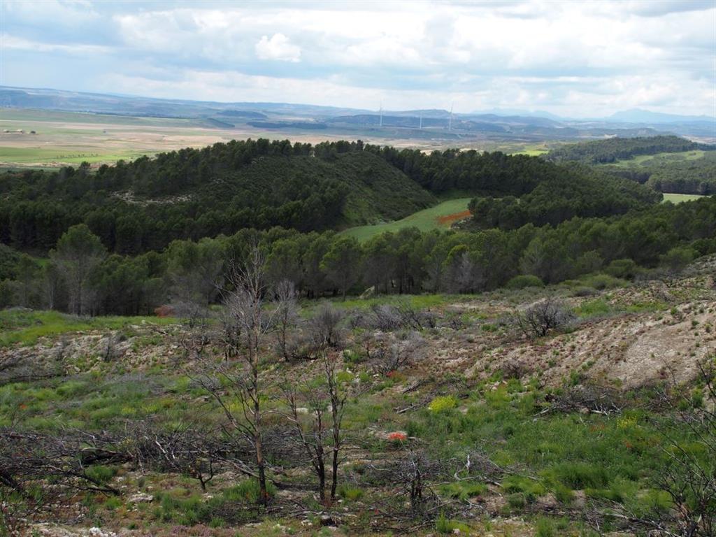 Vista panorámica hacia el suroeste. El relieve colinado de primer plano representa a los materiales yesíferos oligocenos que muestran mayor resistencia a la erosión respecto a los materiales lutíticos miocenos, que se extienden en segundo plano a lo largo de la llanura.