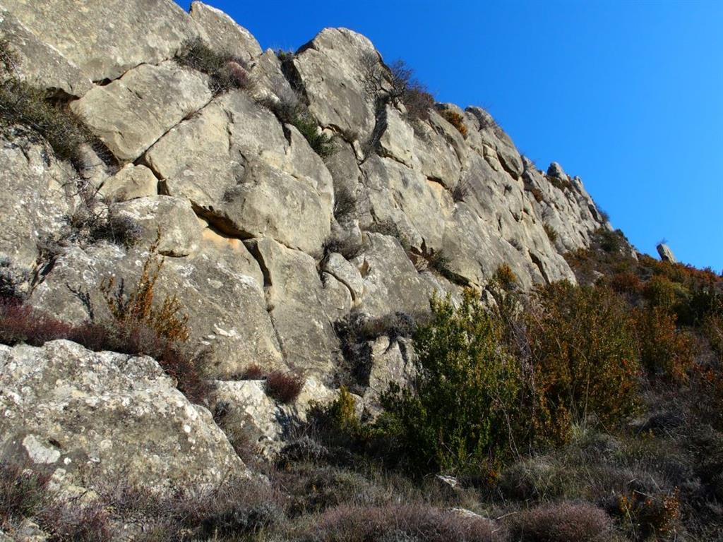 Detalle de una cresta rocosa de areniscas. Se aprecia el grado de fracturación de las mismas.