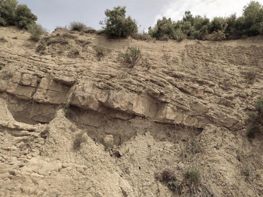 Formación Areniscas de Leoz, formada por una alternancia de areniscas, limolitas y lutitas. Se observa un nivel decimétrico de arenisca sobre la que se desarrollan otros niveles amalgamados de arenisca de menor espesor.