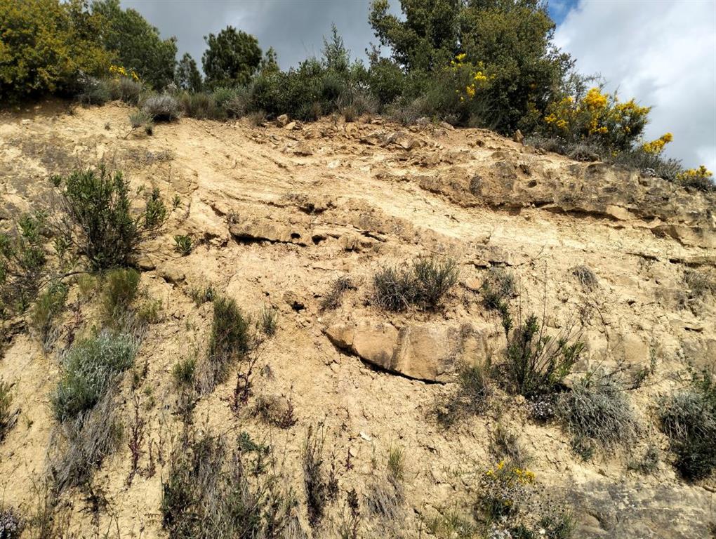 Detalle de un pequeño paleocanal de base cóncava erosiva.