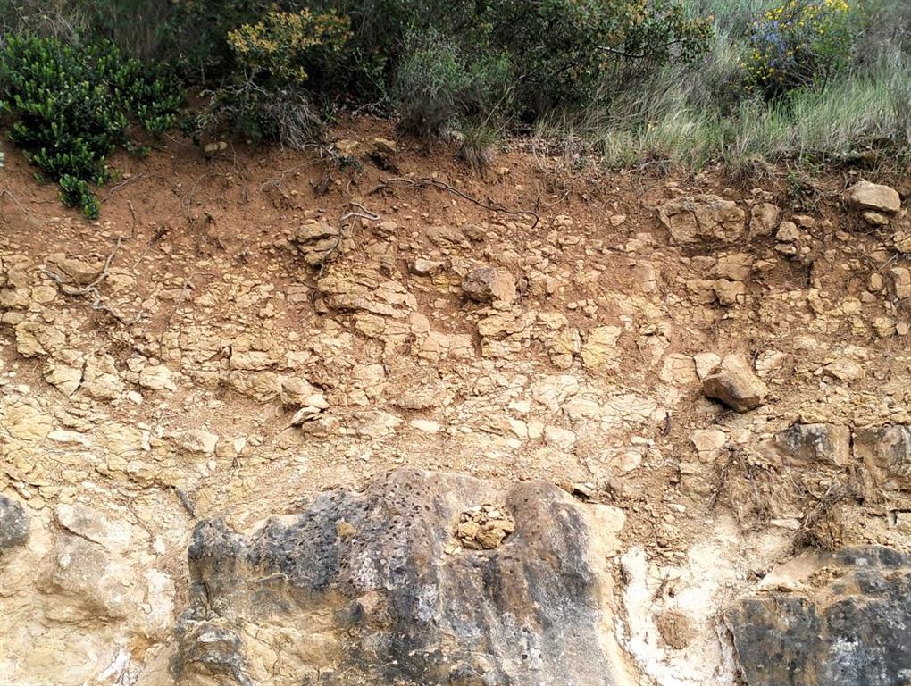 Perfil de suelo desarrollado sobre sustrato rocoso de arenisca. Presenta cierta variedad textural, desde suelos francos a franco-limosos y franco-arcillosos.