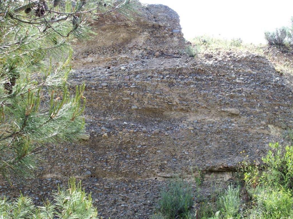 Aspecto general de la unidad granular de conglomerados pleistocenos.