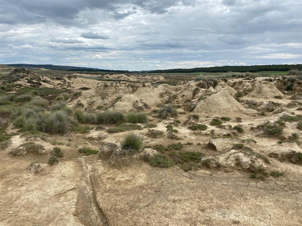 Algunos afloramientos de sustrato mioceno formado por lutitas, limolitas y areniscas. Fuente: Cortesía del Área de Edafología y Química Agrícola de la Universidad Pública de Navarra.