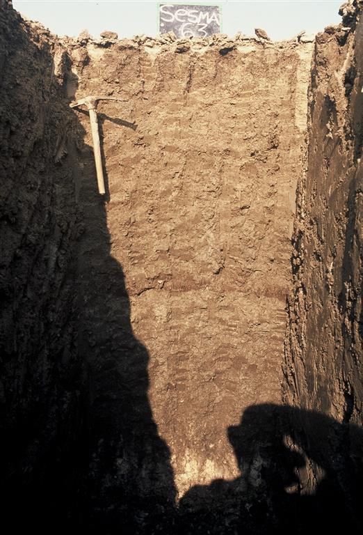 Perfil de suelo salino en calicata realizada en El Salobre. Fuente: Mapa de suelos 1.25.000 del Gobierno de Navarra, tomado a través del visor IDENA (Gobierno de Navarra).