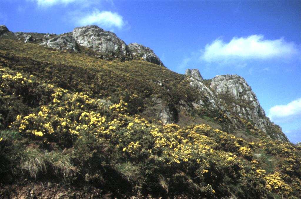 El macizo de eclogitas de Monte Castrillón en la cresta que sube desde la Punta de los Aquillones hasta el pico Gargacido