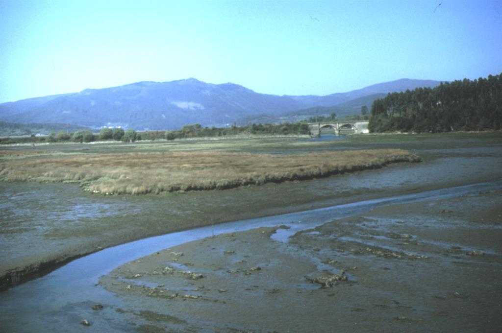 El macizo de eclogitas de Monte Castrillón, al fondo, visto desde la Ría de Ladrido, parte de la Ría de Ortigueira al norte de esta última localidad