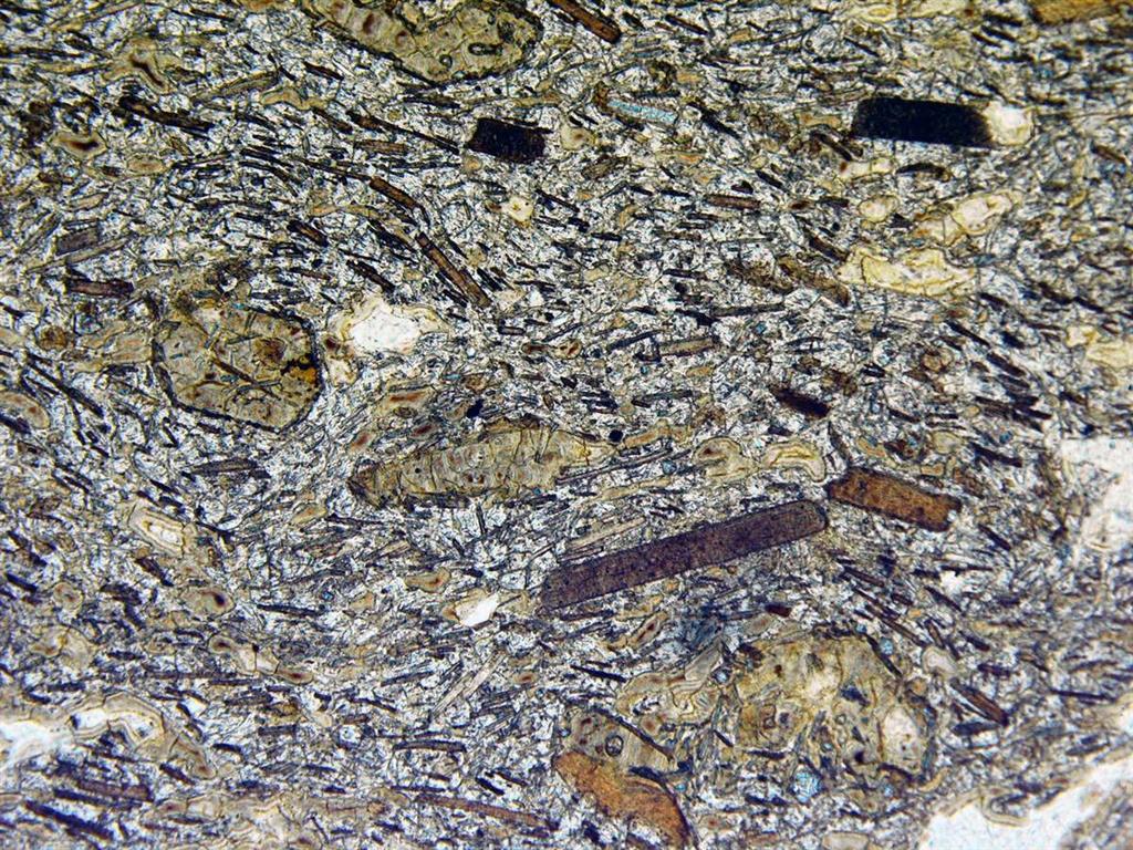 Microlitos y fenocristales de flogopita orientados y fenocristales de olivino alterados en lamproita con matriz vítrea. (NPx4). Localidad, Cabezo Negro de Zeneta. (Muestra 31058-ILM)
