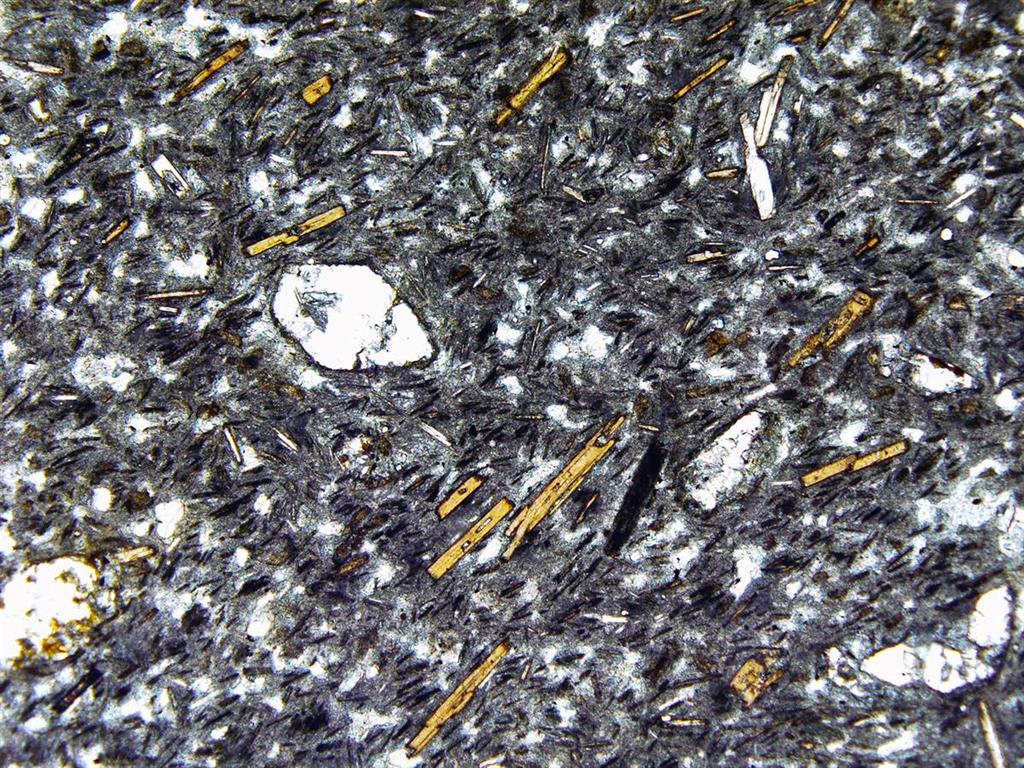 Aspecto textural de lamproita con fenocristales de olivino carbonatados, y microfenocristales de flogopita en matriz vítrea. (NPx4). Localidad, Cabezo Negro de Zeneta. (Muestra 31072-ILM)